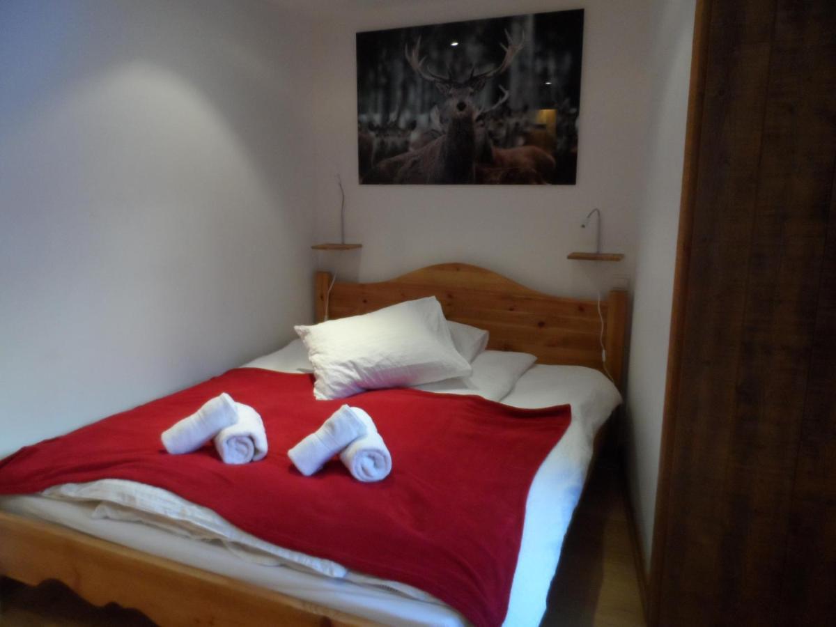Prachtig Familie Appartement Voor 6 Personen In Het Hart Van Argentiere, Chamonix Mont-Blanc Eksteriør billede